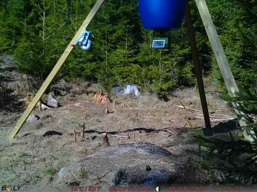 Bild från STORATRÄA