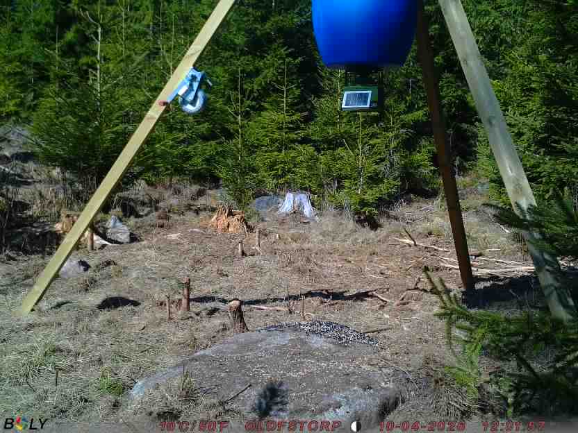 Bild från STORATRÄA