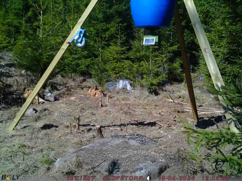 Bild från STORATRÄA