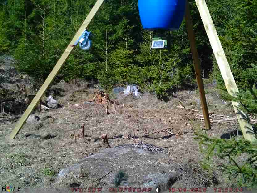 Bild från STORATRÄA