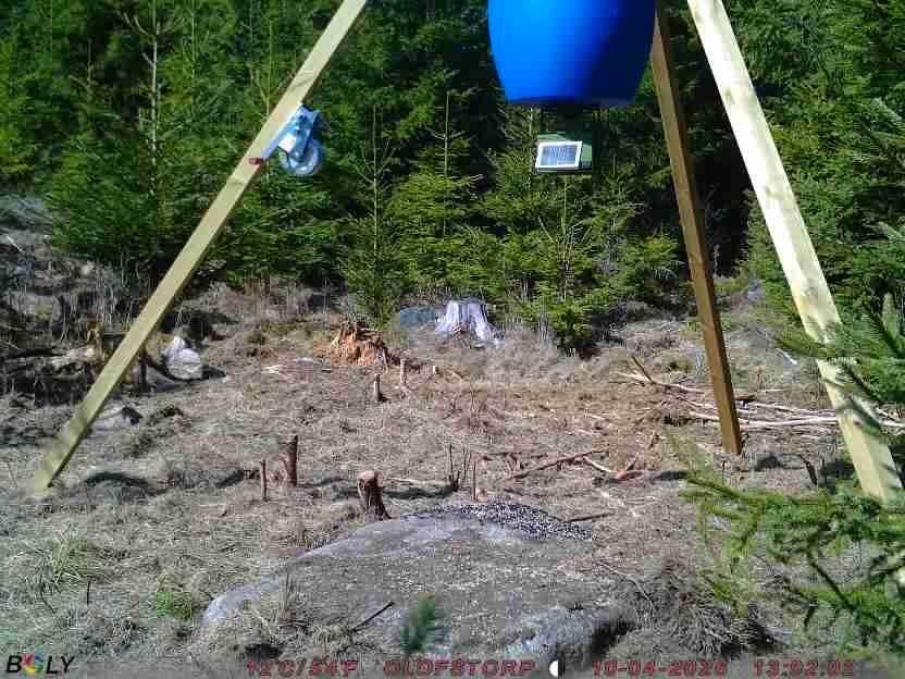 Bild från STORATRÄA