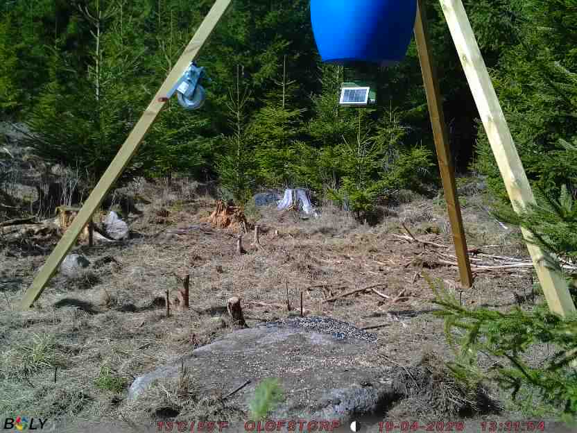 Bild från STORATRÄA