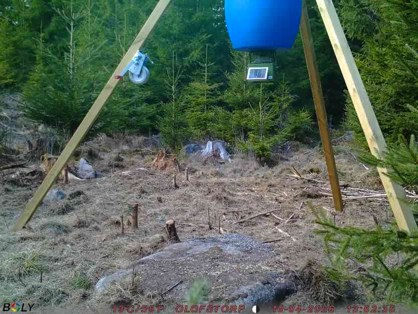 Bild från STORATRÄA