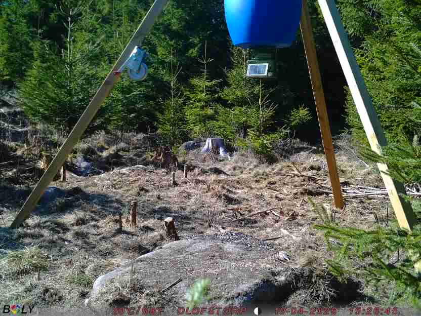 Bild från STORATRÄA