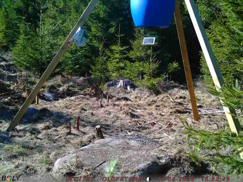 Bild från STORATRÄA