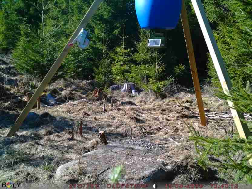 Bild från STORATRÄA