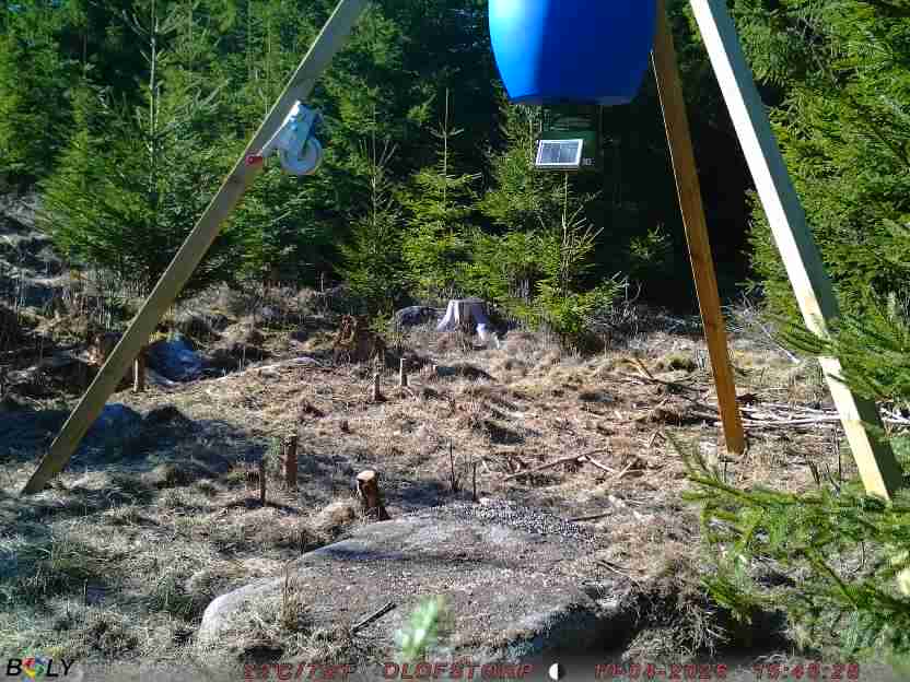 Bild från STORATRÄA