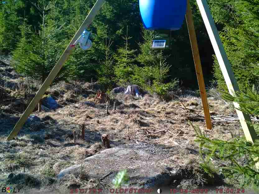 Bild från STORATRÄA