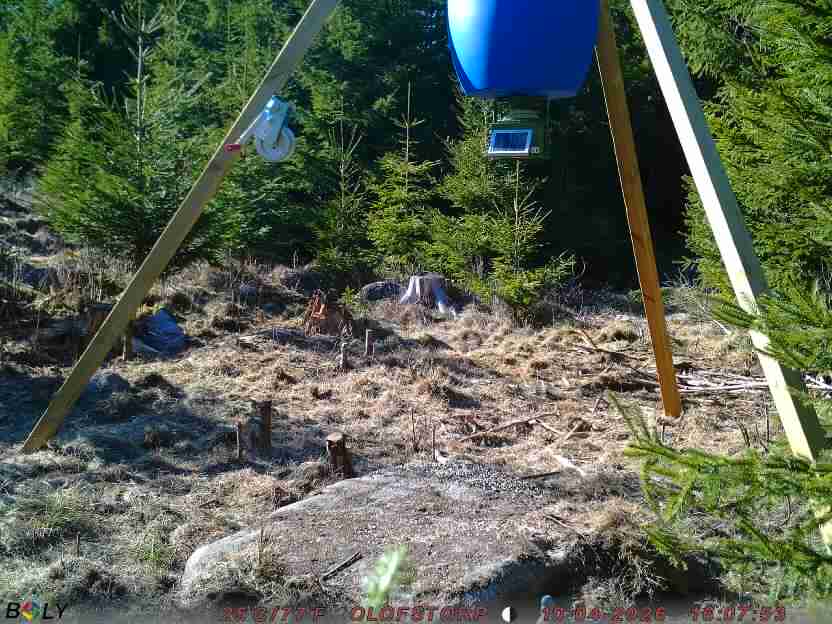 Bild från STORATRÄA