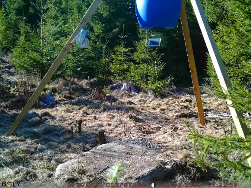 Bild från STORATRÄA