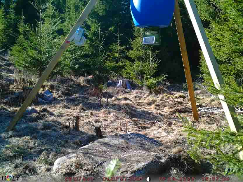 Bild från STORATRÄA