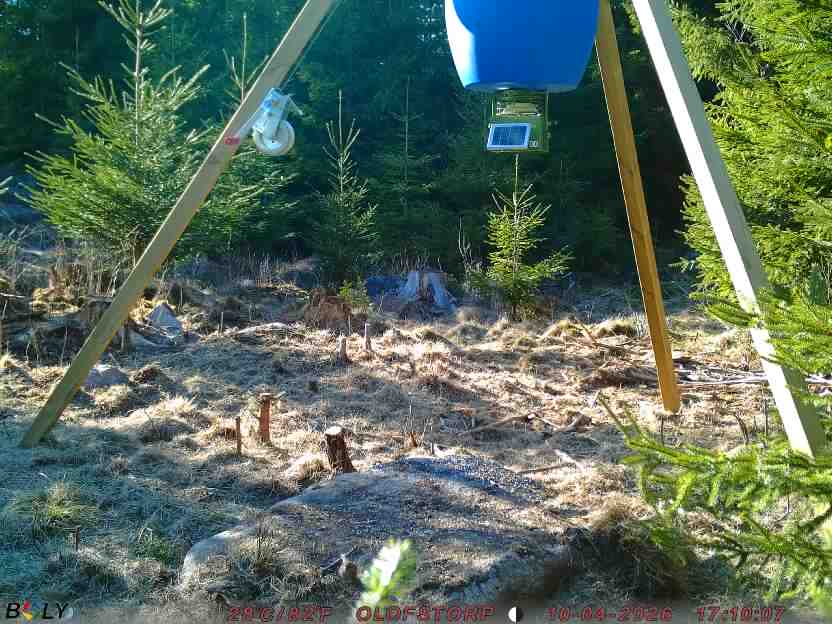 Bild från STORATRÄA