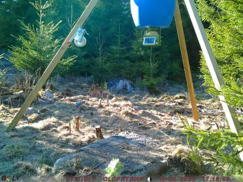 Bild från STORATRÄA