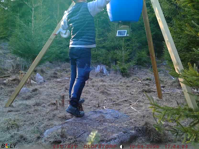 Bild från STORATRÄA