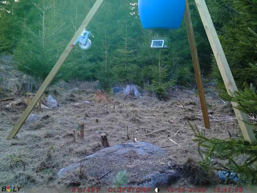 Bild från STORATRÄA