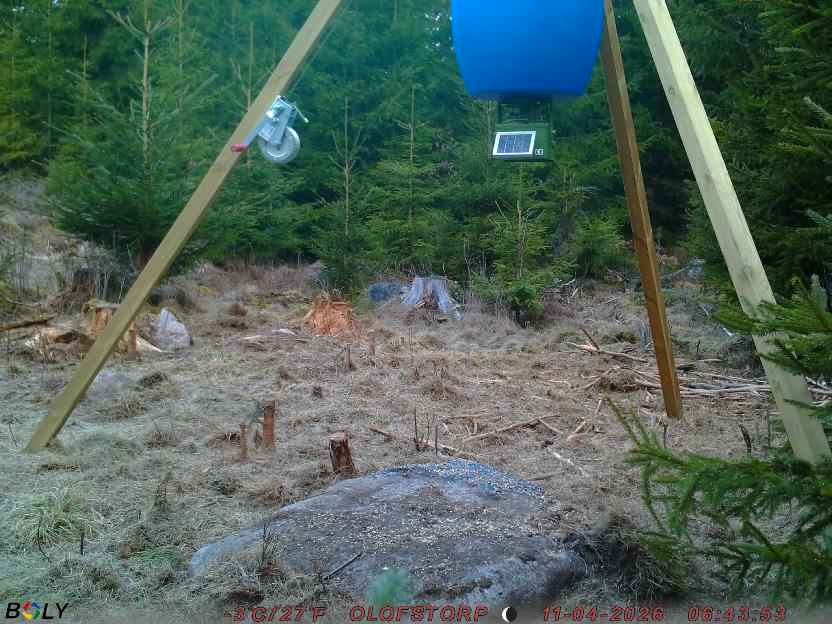 Bild från STORATRÄA