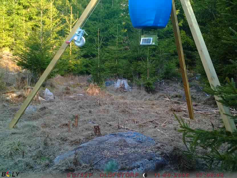 Bild från STORATRÄA