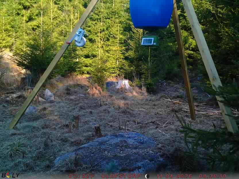 Bild från STORATRÄA