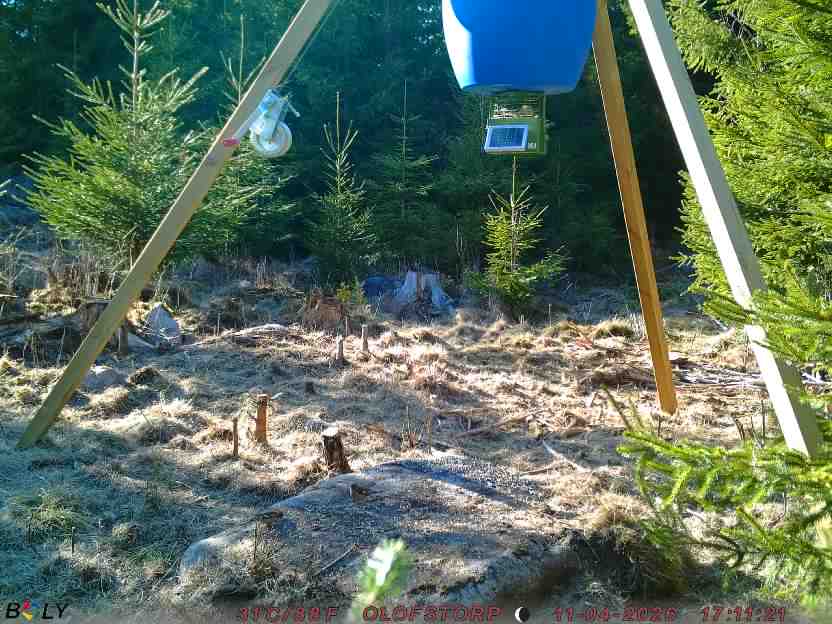 Bild från STORATRÄA