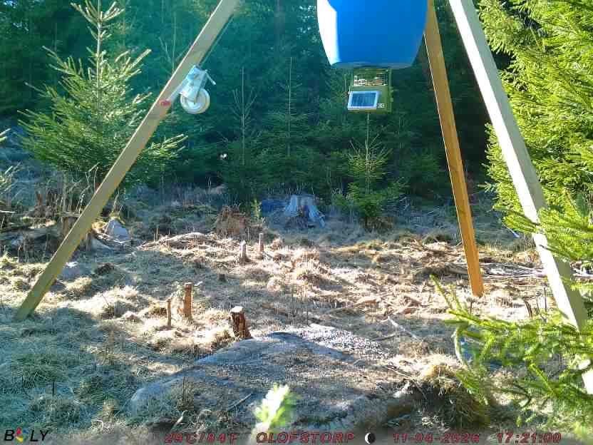 Bild från STORATRÄA