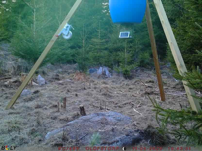 Bild från STORATRÄA