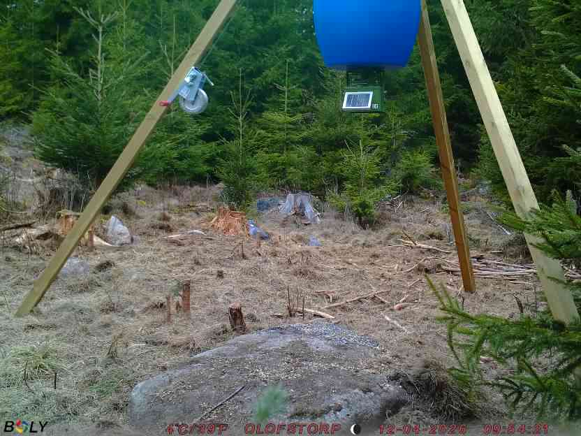Bild från STORATRÄA