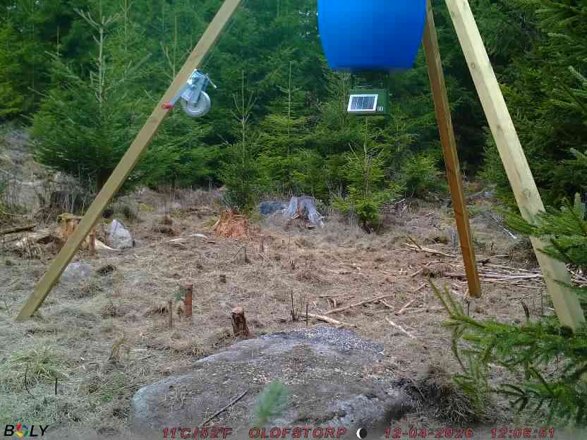 Bild från STORATRÄA