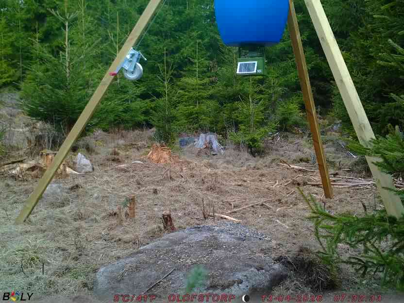 Bild från STORATRÄA