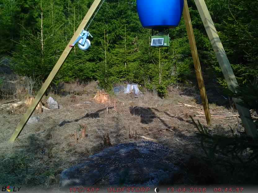 Bild från STORATRÄA