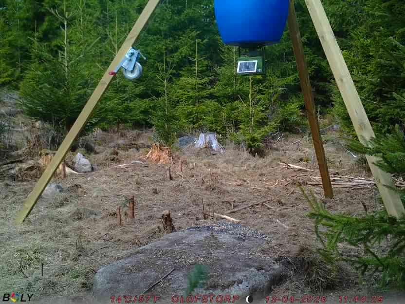 Bild från STORATRÄA