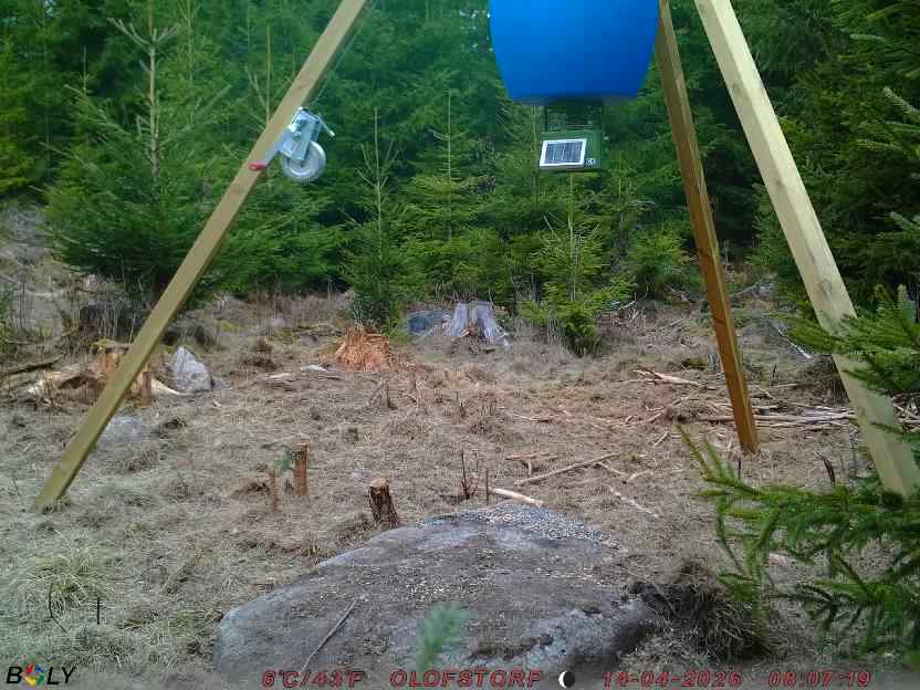 Bild från STORATRÄA