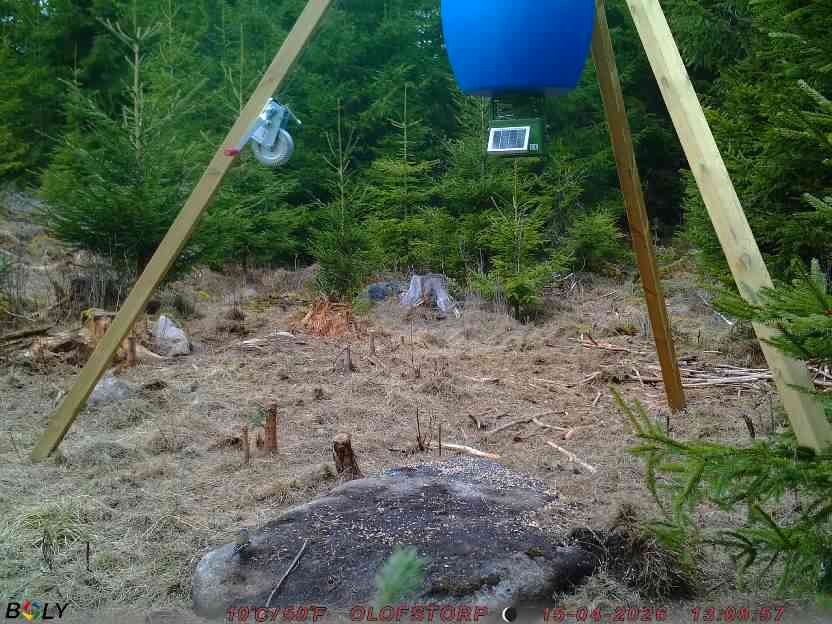 Bild från STORATRÄA