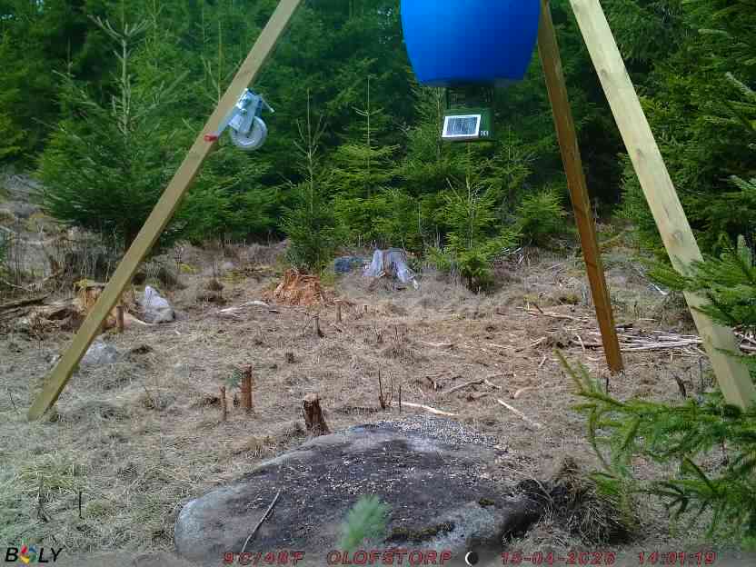 Bild från STORATRÄA