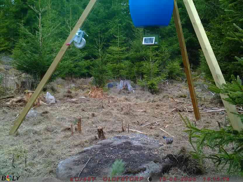 Bild från STORATRÄA