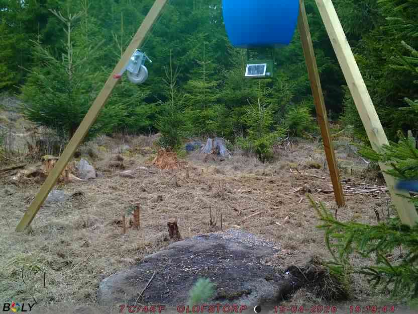 Bild från STORATRÄA