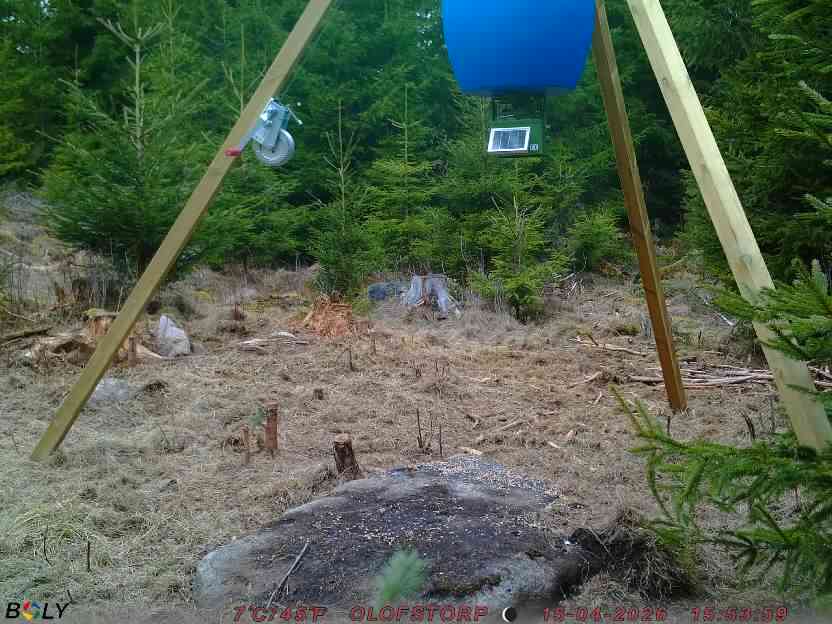 Bild från STORATRÄA