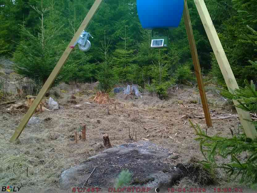 Bild från STORATRÄA