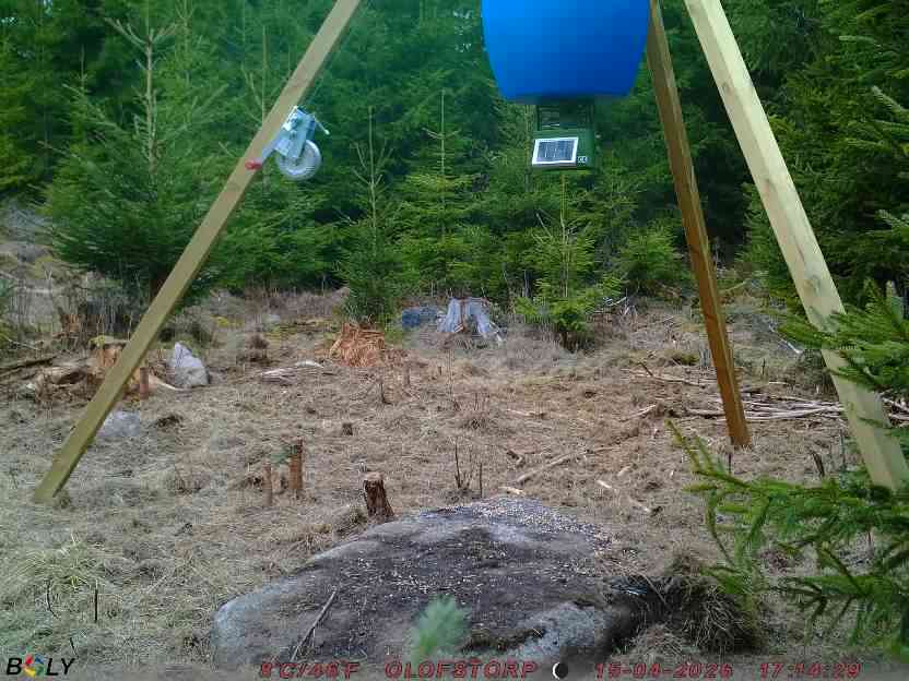 Bild från STORATRÄA