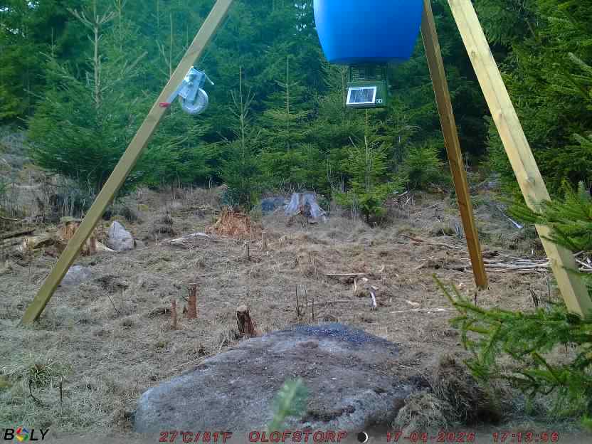 Bild från STORATRÄA