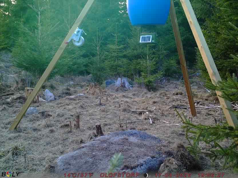 Bild från STORATRÄA