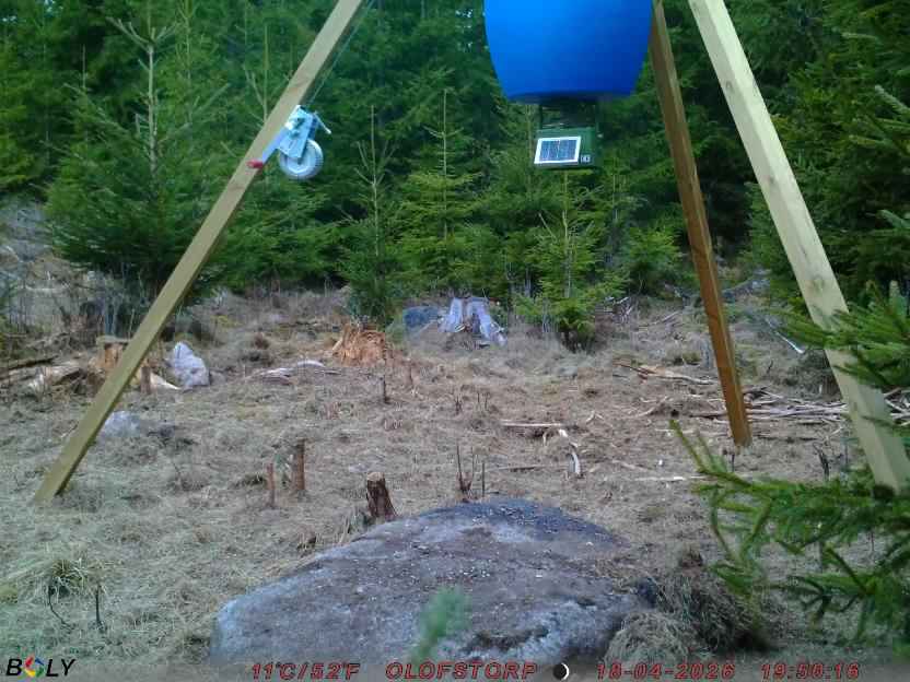 Bild från STORATRÄA