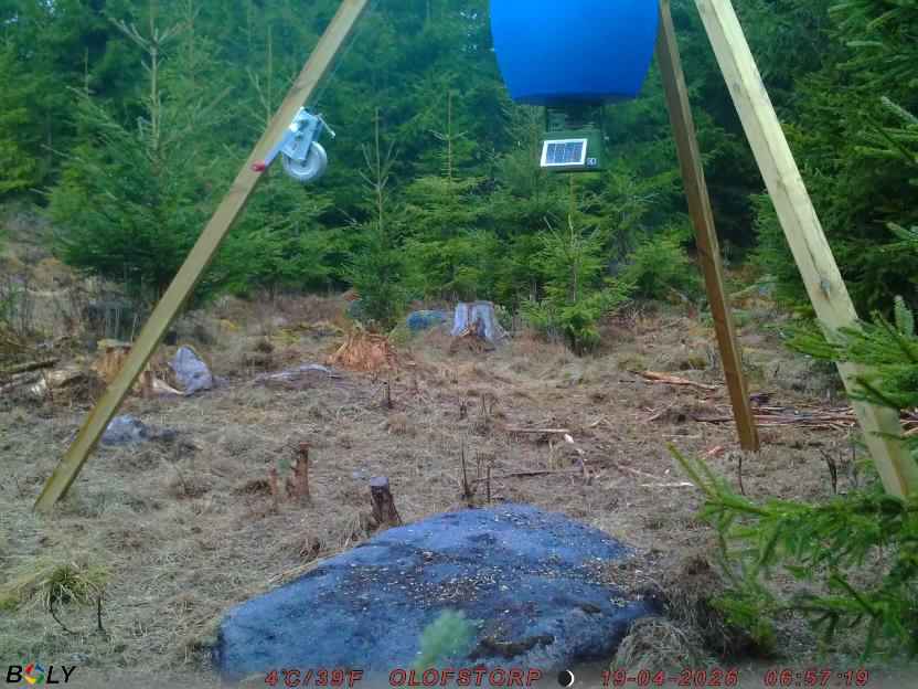 Bild från STORATRÄA