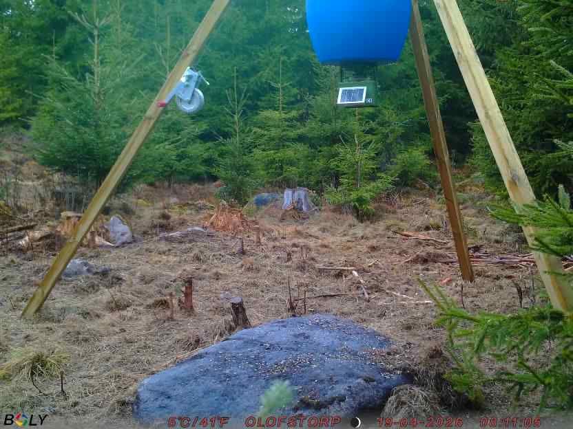 Bild från STORATRÄA