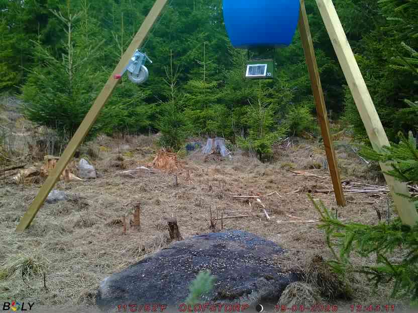 Bild från STORATRÄA