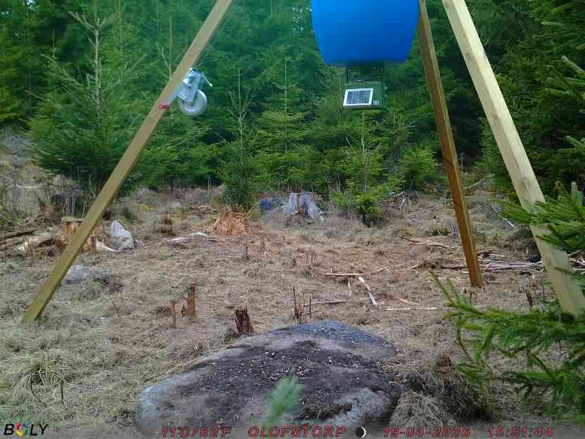 Bild från STORATRÄA