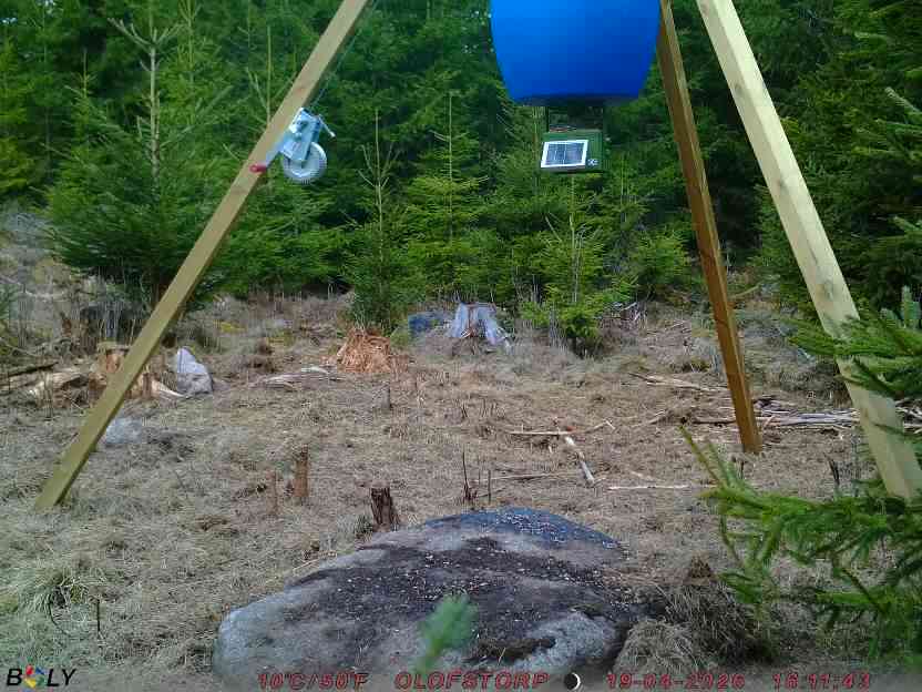 Bild från STORATRÄA