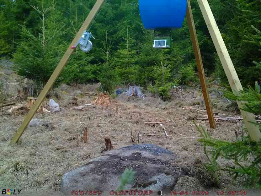 Bild från STORATRÄA