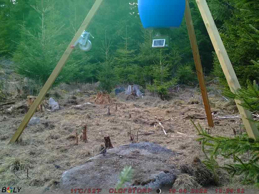 Bild från STORATRÄA