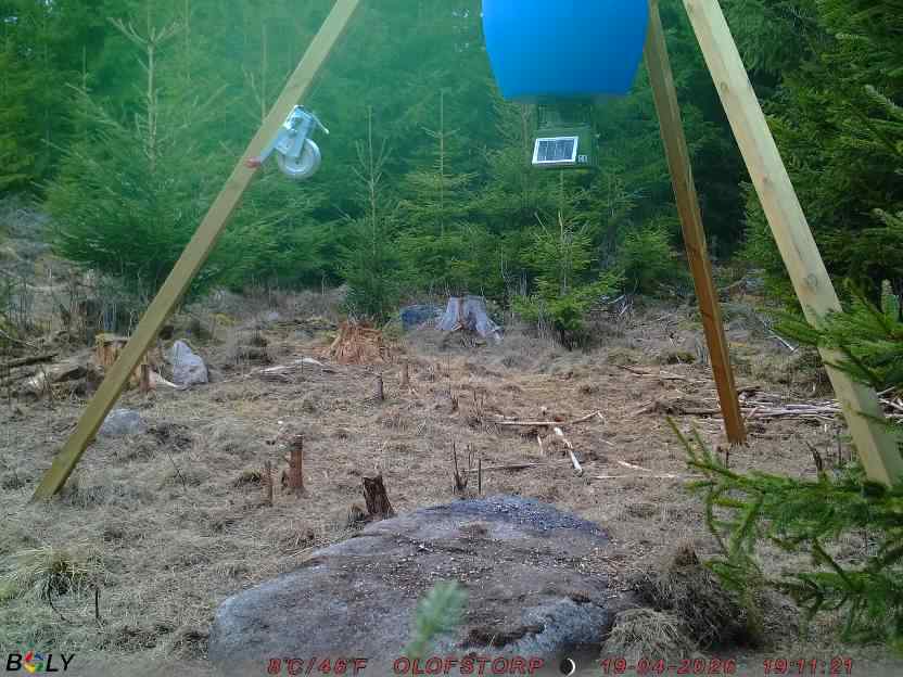 Bild från STORATRÄA