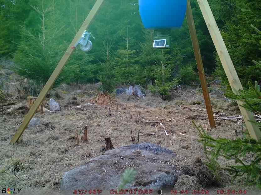 Bild från STORATRÄA